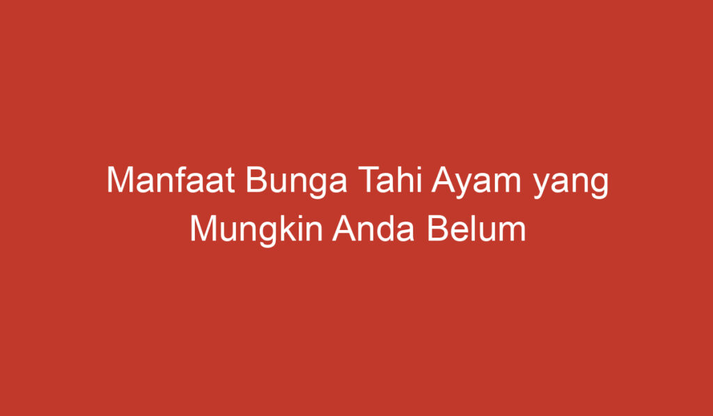 Manfaat Bunga Tahi Ayam yang Mungkin Anda Belum Ketahui