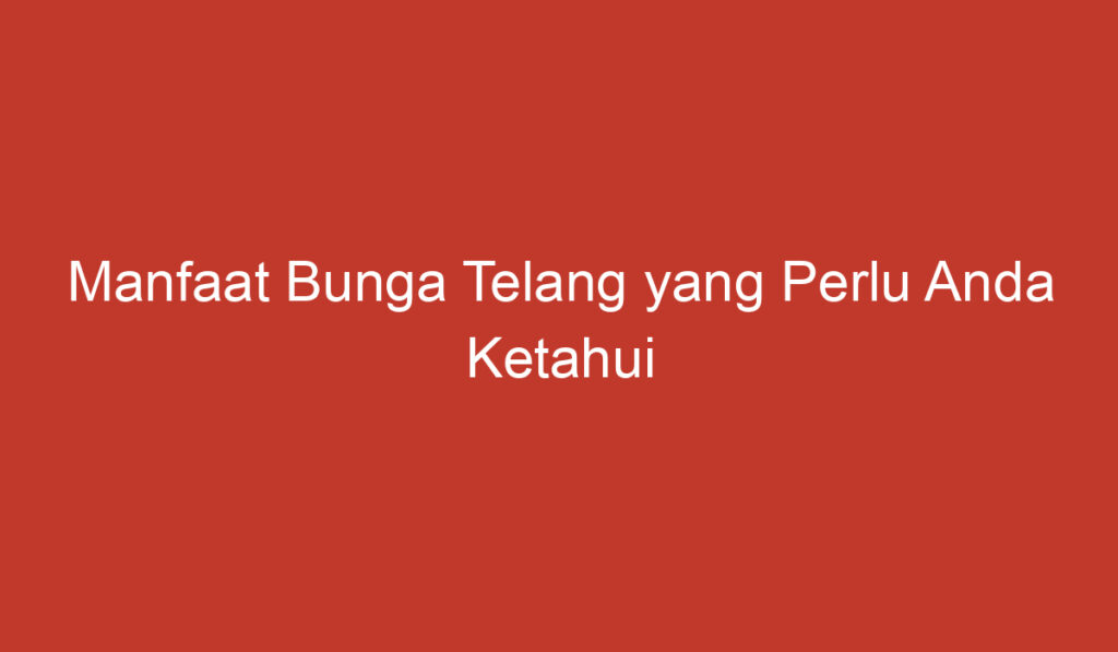 Manfaat Bunga Telang yang Perlu Anda Ketahui