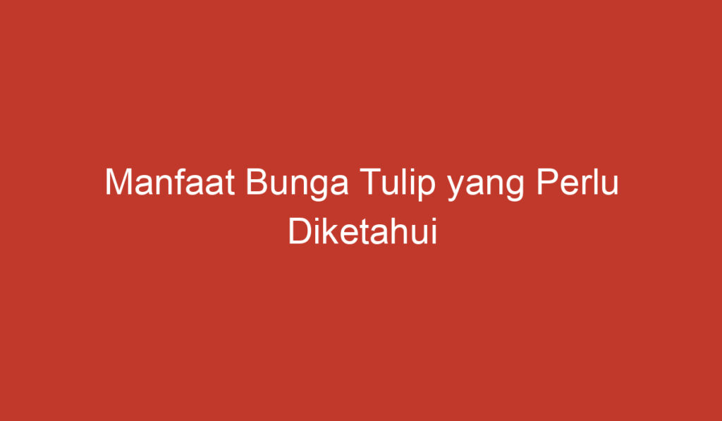 Manfaat Bunga Tulip yang Perlu Diketahui