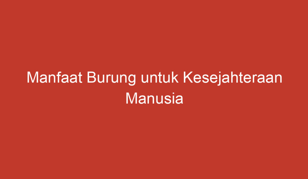 Manfaat Burung untuk Kesejahteraan Manusia