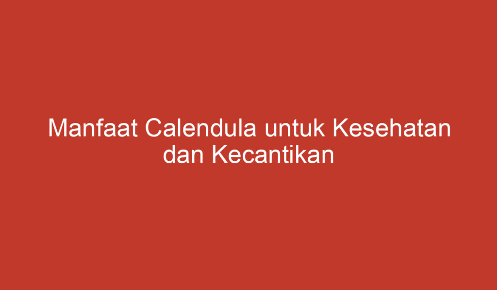 Manfaat Calendula untuk Kesehatan dan Kecantikan Kulit