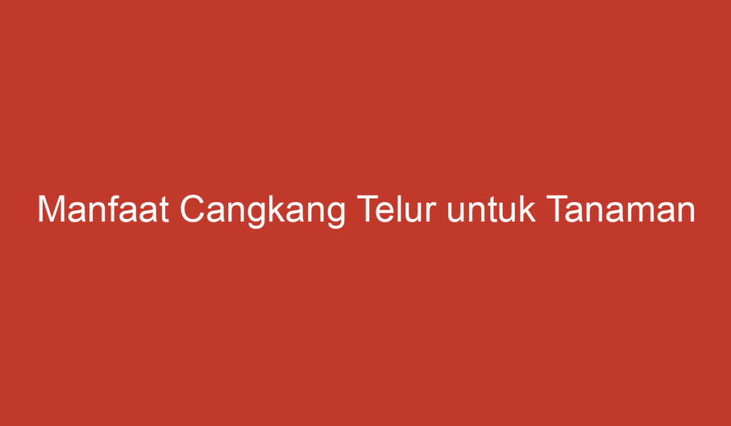 Manfaat Cangkang Telur untuk Tanaman