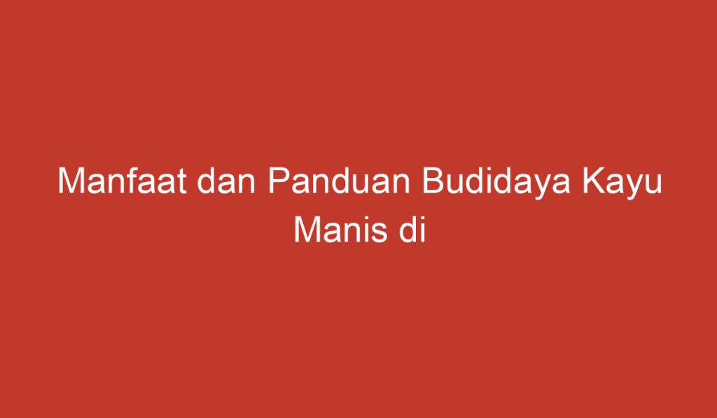 Manfaat dan Panduan Budidaya Kayu Manis di Indonesia