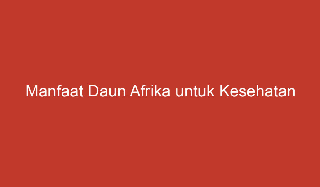 Manfaat Daun Afrika untuk Kesehatan