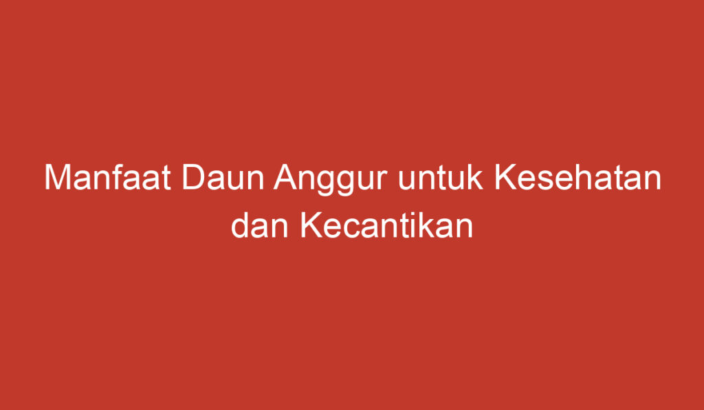 Manfaat Daun Anggur untuk Kesehatan dan Kecantikan