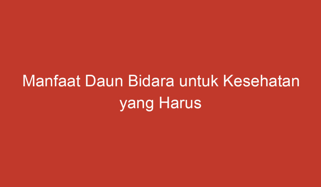 Manfaat Daun Bidara untuk Kesehatan yang Harus Diketahui