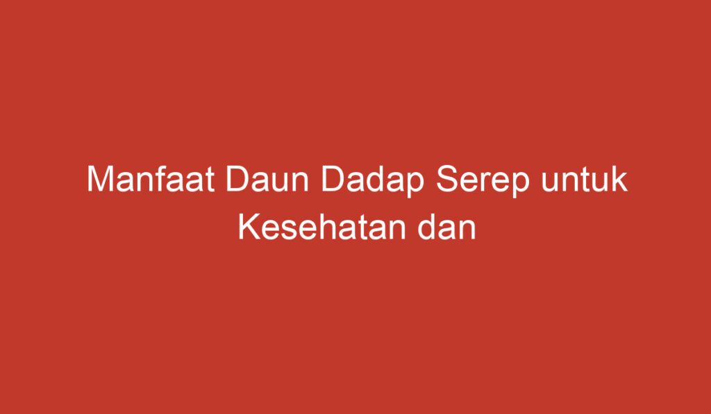 Manfaat Daun Dadap Serep untuk Kesehatan dan Kecantikan