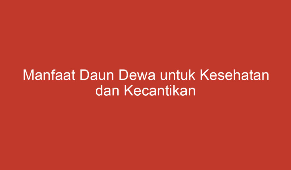 Manfaat Daun Dewa untuk Kesehatan dan Kecantikan