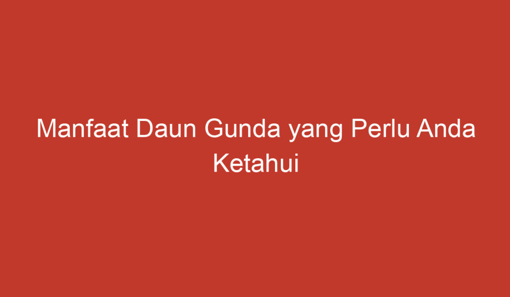 Manfaat Daun Gunda yang Perlu Anda Ketahui