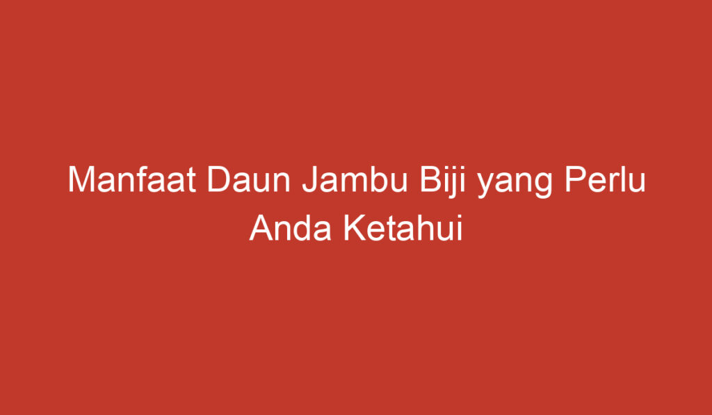 Manfaat Daun Jambu Biji yang Perlu Anda Ketahui