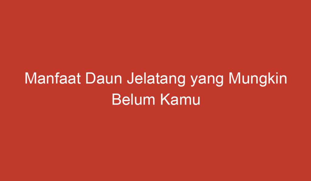 Manfaat Daun Jelatang yang Mungkin Belum Kamu Ketahui