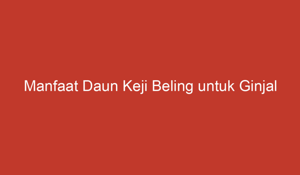 Manfaat Daun Keji Beling untuk Ginjal