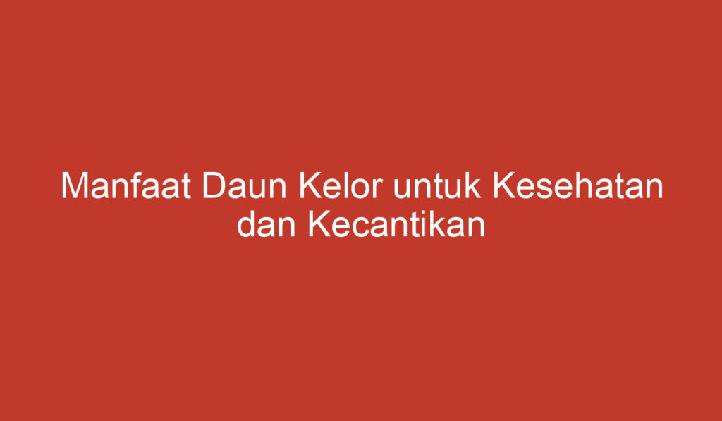 Manfaat Daun Kelor untuk Kesehatan dan Kecantikan