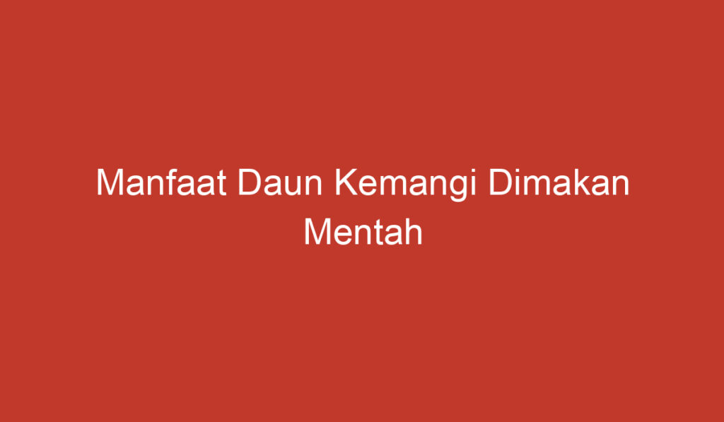 Manfaat Daun Kemangi Dimakan Mentah