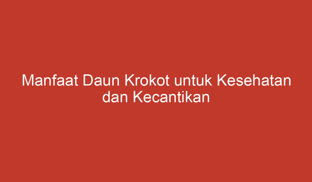 Manfaat Daun Krokot untuk Kesehatan dan Kecantikan