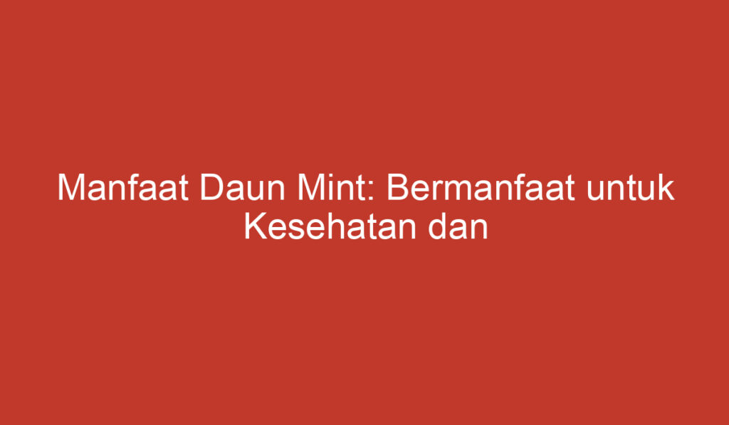 Manfaat Daun Mint: Bermanfaat untuk Kesehatan dan Kecantikan