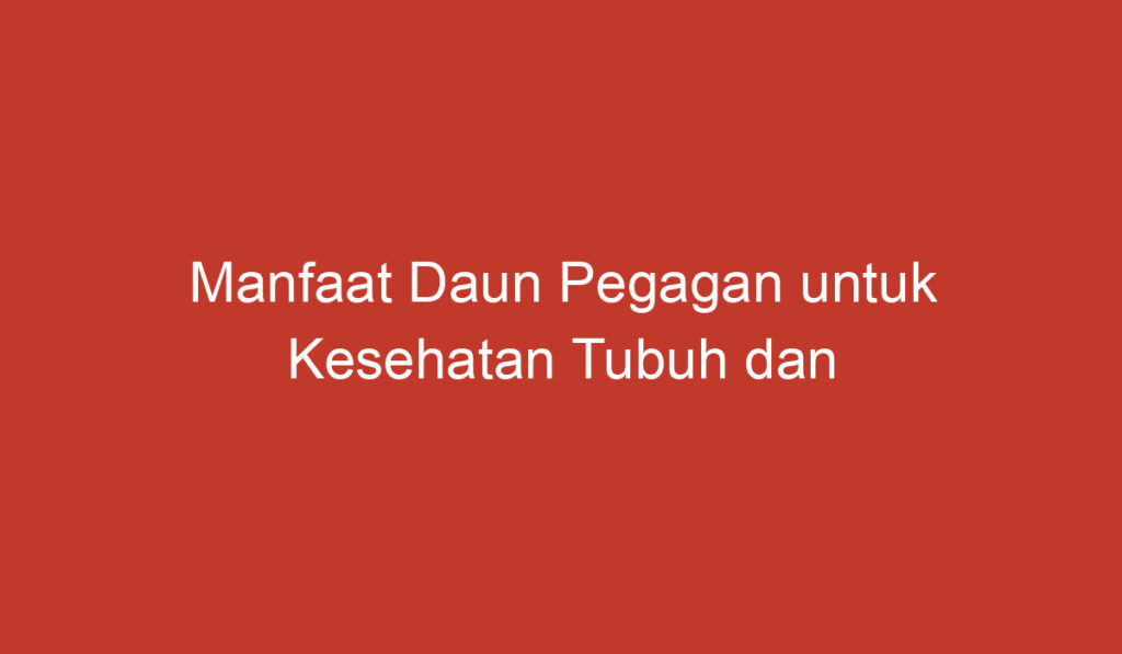 Manfaat Daun Pegagan untuk Kesehatan Tubuh dan Kekayaan Alam