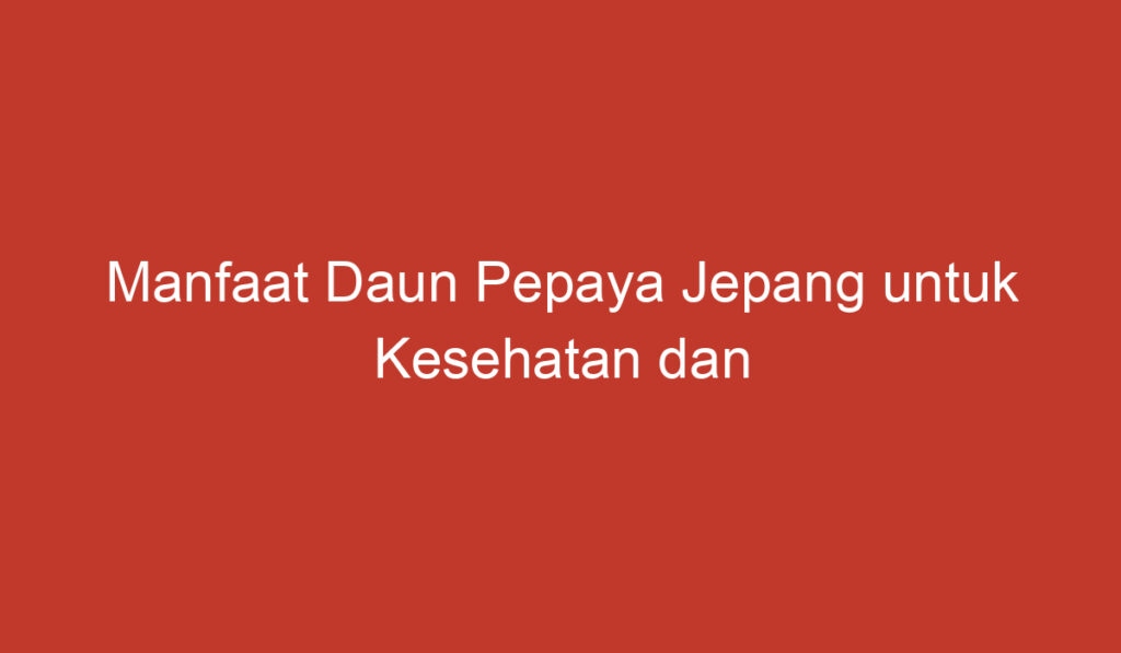 Manfaat Daun Pepaya Jepang untuk Kesehatan dan Kecantikan