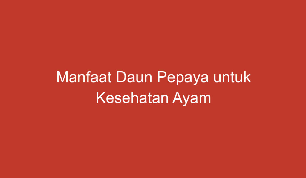 Manfaat Daun Pepaya untuk Kesehatan Ayam