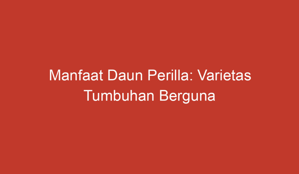 Manfaat Daun Perilla: Varietas Tumbuhan Berguna bagi Kesehatan dan Kuliner