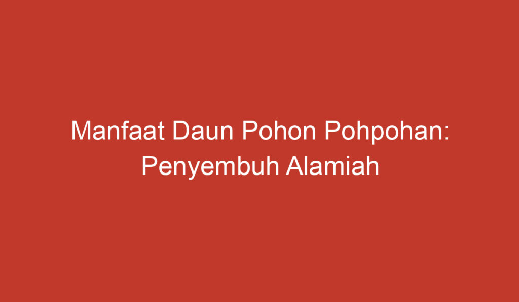 Manfaat Daun Pohon Pohpohan: Penyembuh Alamiah untuk Kesehatan Anda