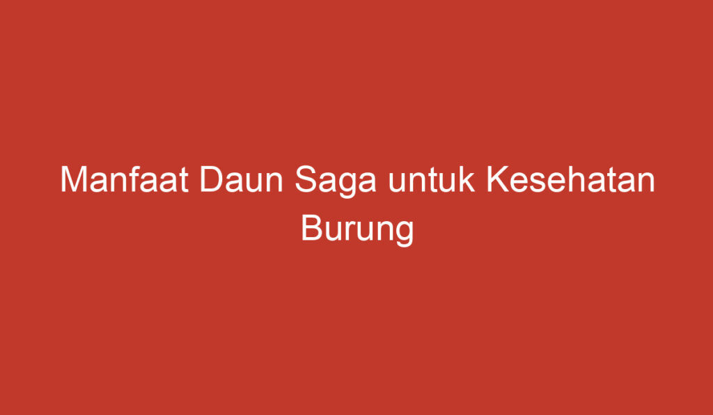 Manfaat Daun Saga untuk Kesehatan Burung