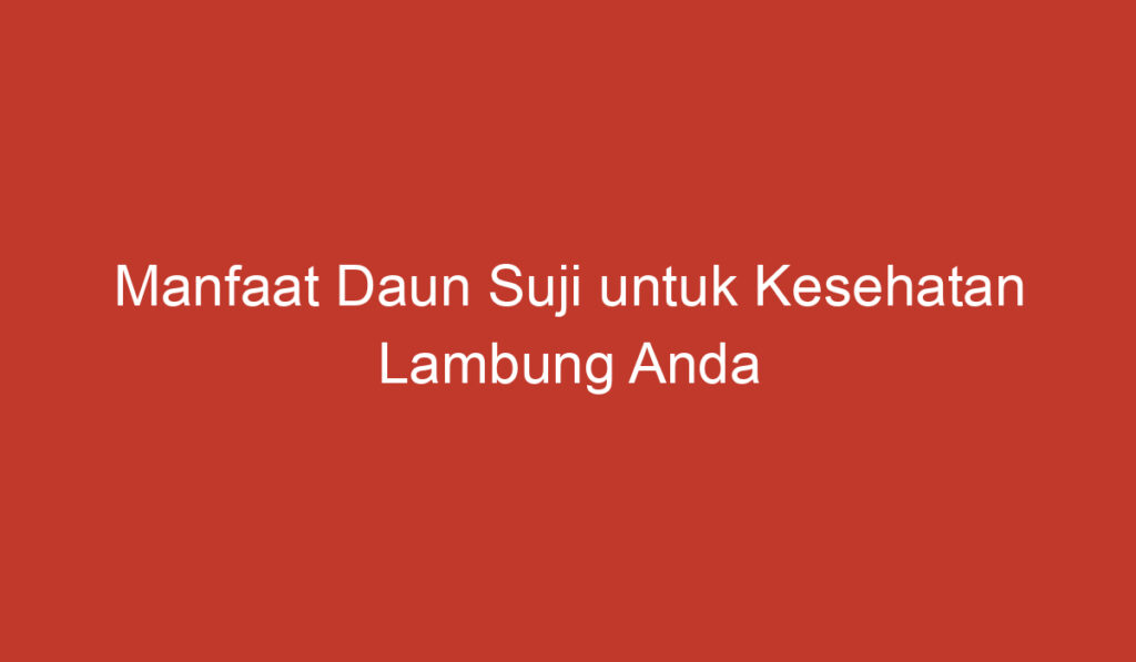 Manfaat Daun Suji untuk Kesehatan Lambung Anda