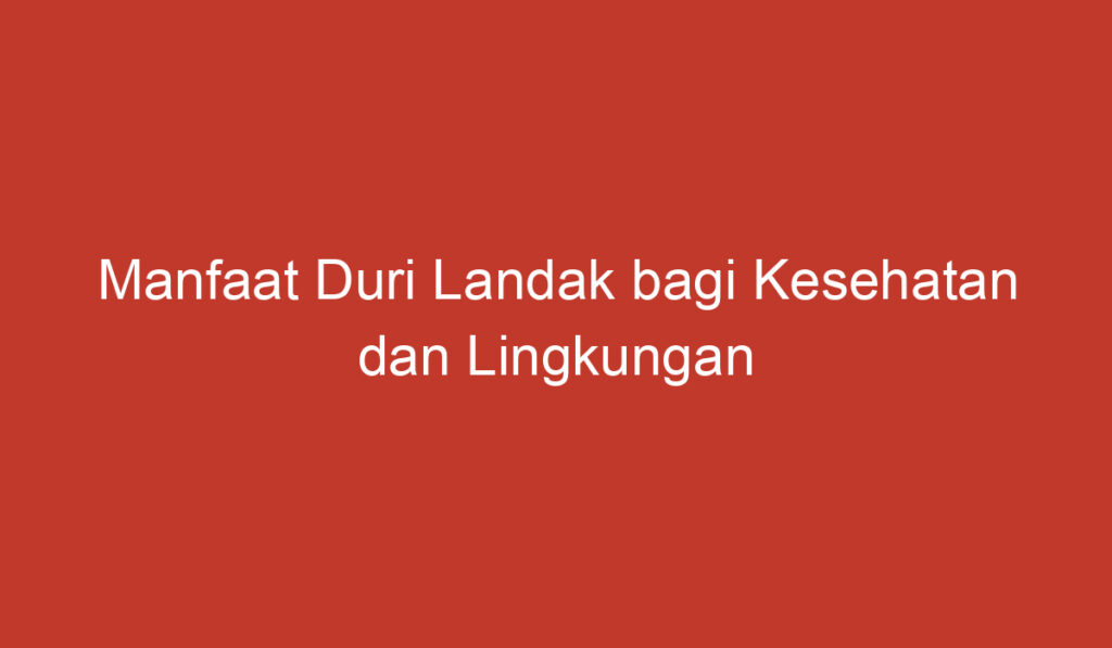 Manfaat Duri Landak bagi Kesehatan dan Lingkungan