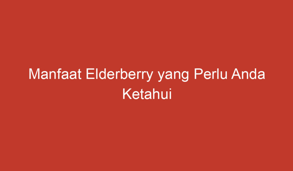 Manfaat Elderberry yang Perlu Anda Ketahui