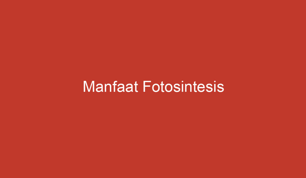 Manfaat Fotosintesis