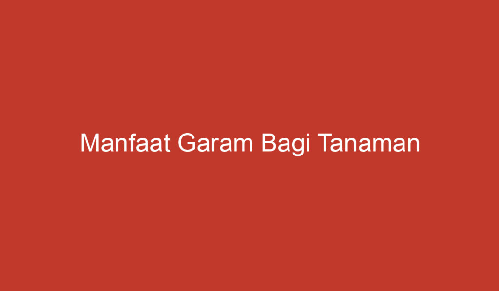 Manfaat Garam Bagi Tanaman