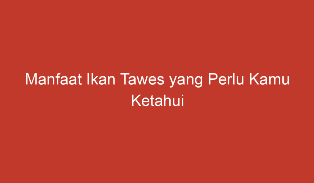 Manfaat Ikan Tawes yang Perlu Kamu Ketahui