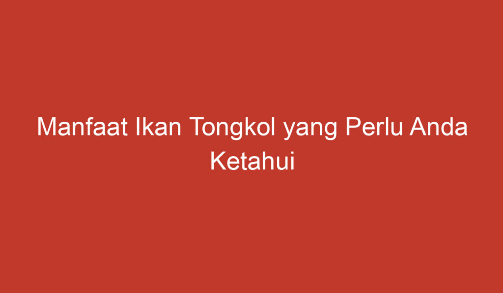 Manfaat Ikan Tongkol yang Perlu Anda Ketahui