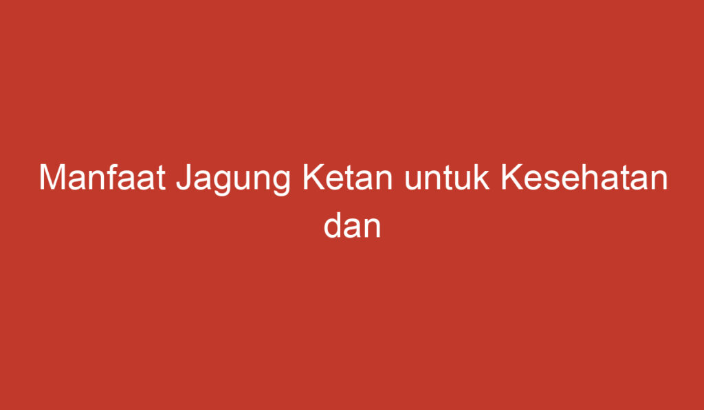 Manfaat Jagung Ketan untuk Kesehatan dan Kecantikan