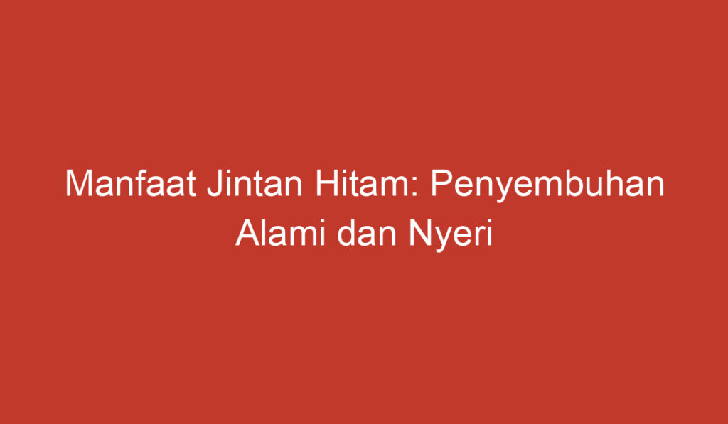 Manfaat Jintan Hitam: Penyembuhan Alami dan Nyeri Perut Teratasi