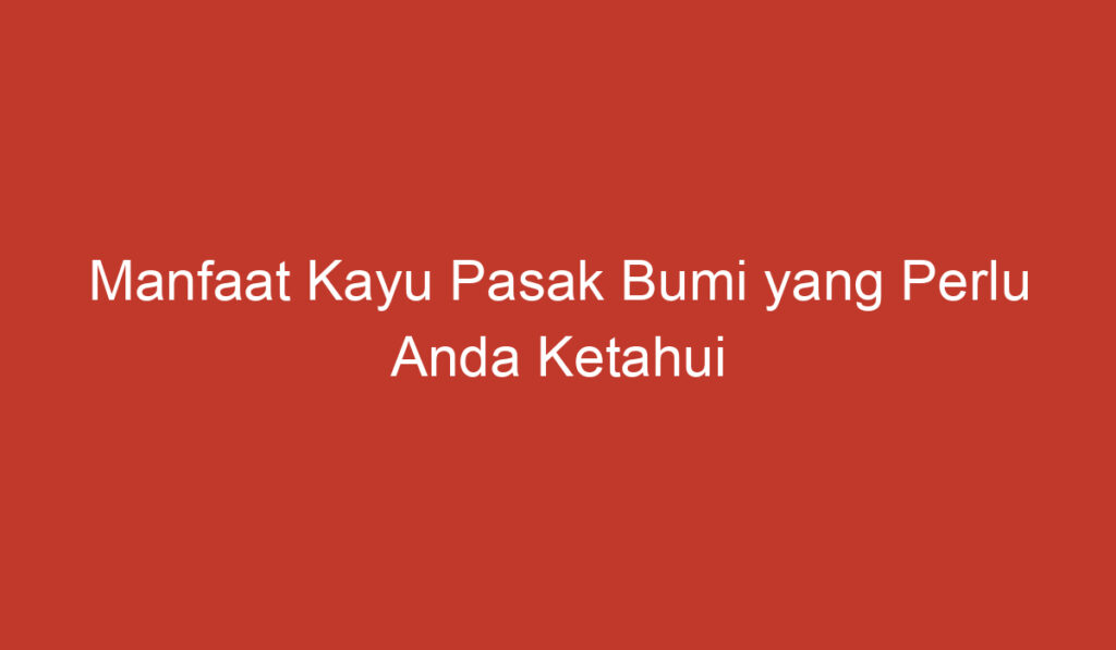 Manfaat Kayu Pasak Bumi yang Perlu Anda Ketahui