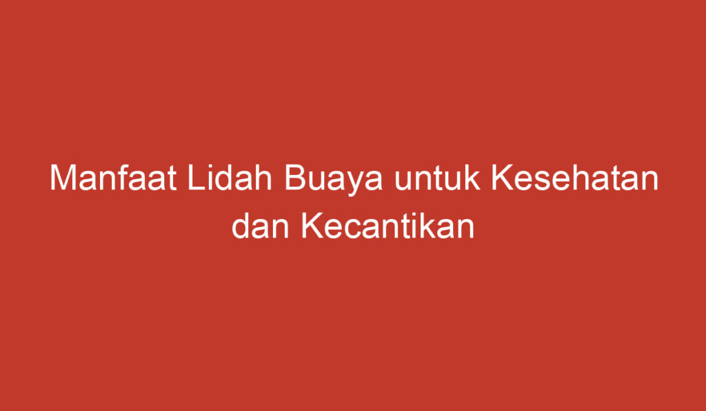 Manfaat Lidah Buaya untuk Kesehatan dan Kecantikan