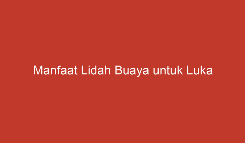 Manfaat Lidah Buaya untuk Luka