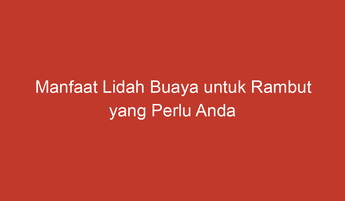 Manfaat Lidah Buaya Untuk Rambut Yang Perlu Anda Ketahui