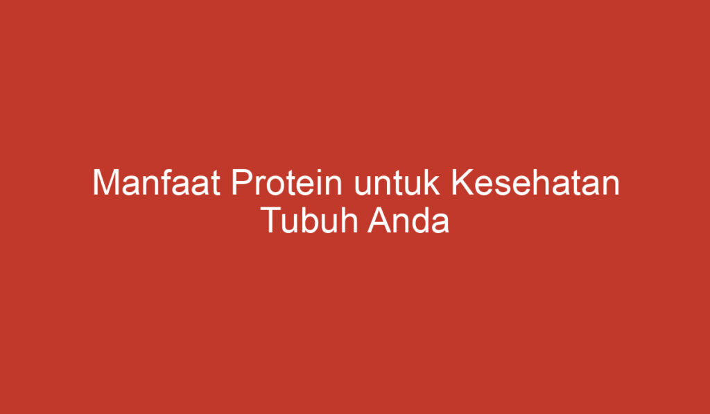 Manfaat Protein untuk Kesehatan Tubuh Anda