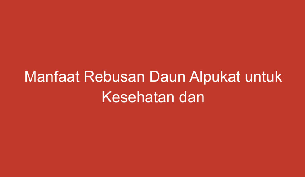 Manfaat Rebusan Daun Alpukat untuk Kesehatan dan Kecantikan