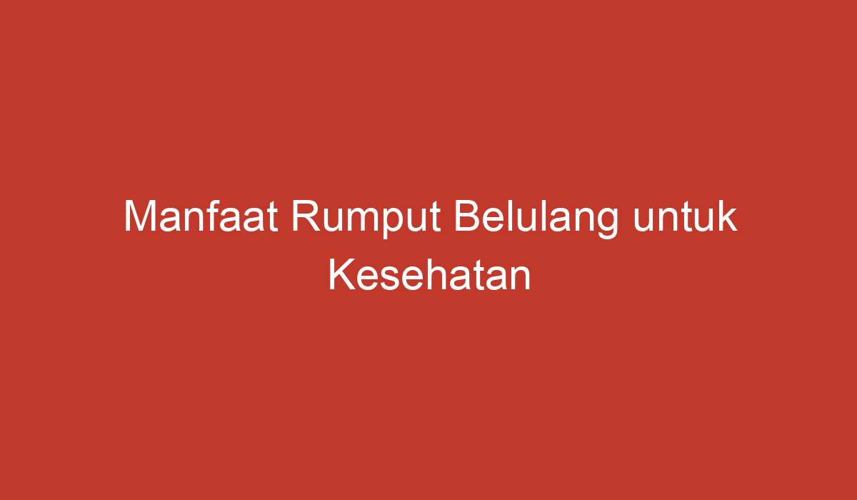 Manfaat Rumput Belulang Untuk Kesehatan