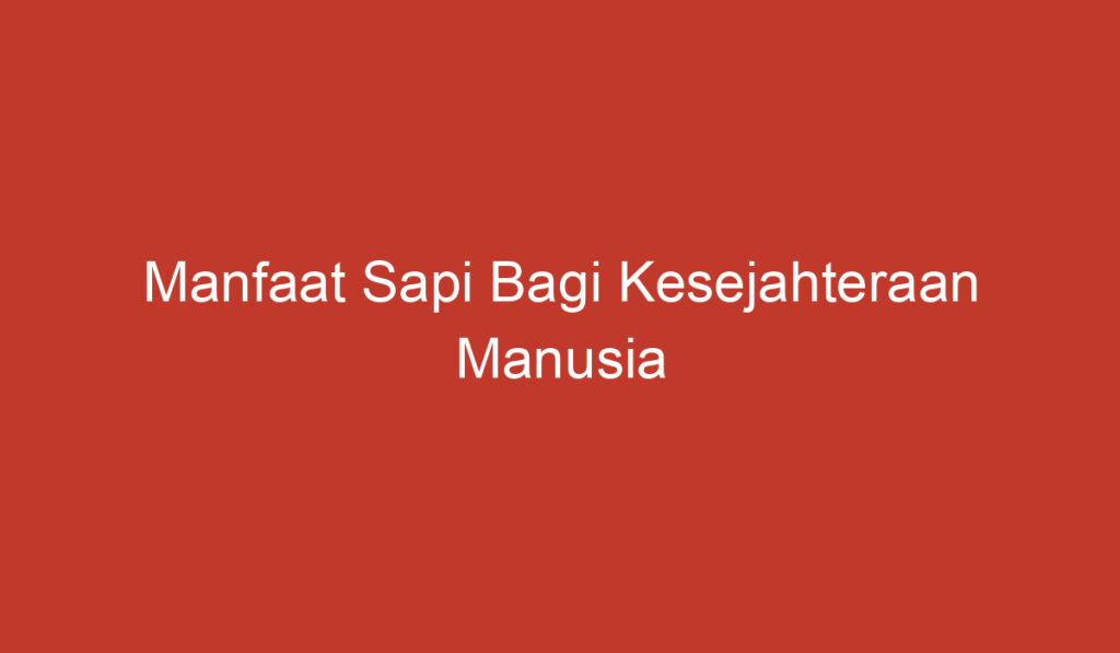 Manfaat Sapi Bagi Kesejahteraan Manusia