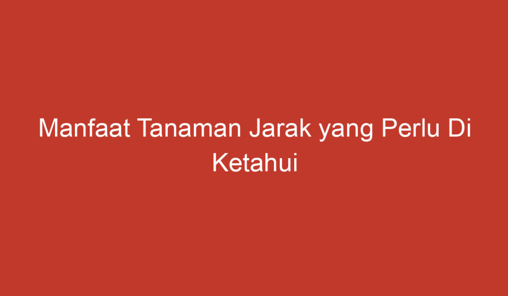 Manfaat Tanaman Jarak yang Perlu Di Ketahui