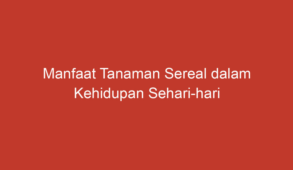 Manfaat Tanaman Sereal dalam Kehidupan Sehari hari