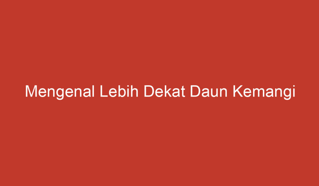 Mengenal Lebih Dekat Daun Kemangi