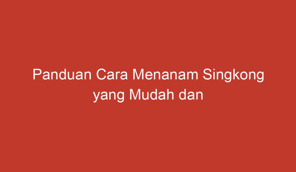 Panduan Cara Menanam Singkong yang Mudah dan Sukses