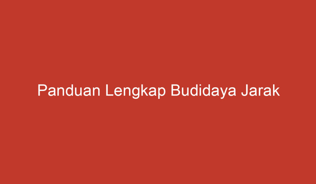 Panduan Lengkap Budidaya Jarak