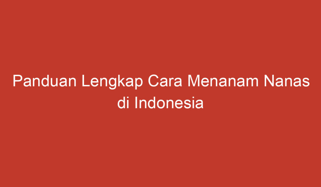 Panduan Lengkap Cara Menanam Nanas di Indonesia