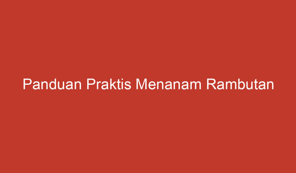 Panduan Praktis Menanam Rambutan